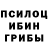 Галлюциногенные грибы Psilocybe Xyreewi