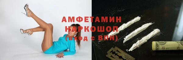 сатива Карпинск