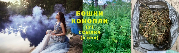 шишки Алексеевка