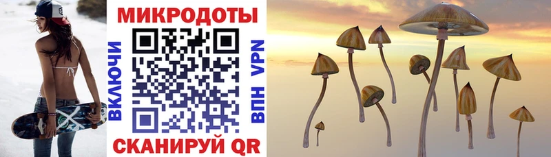 Псилоцибиновые грибы Cubensis omg как зайти Орлов