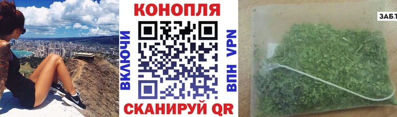 mega   где купить   Орлов  Бошки марихуана Bruce Banner 